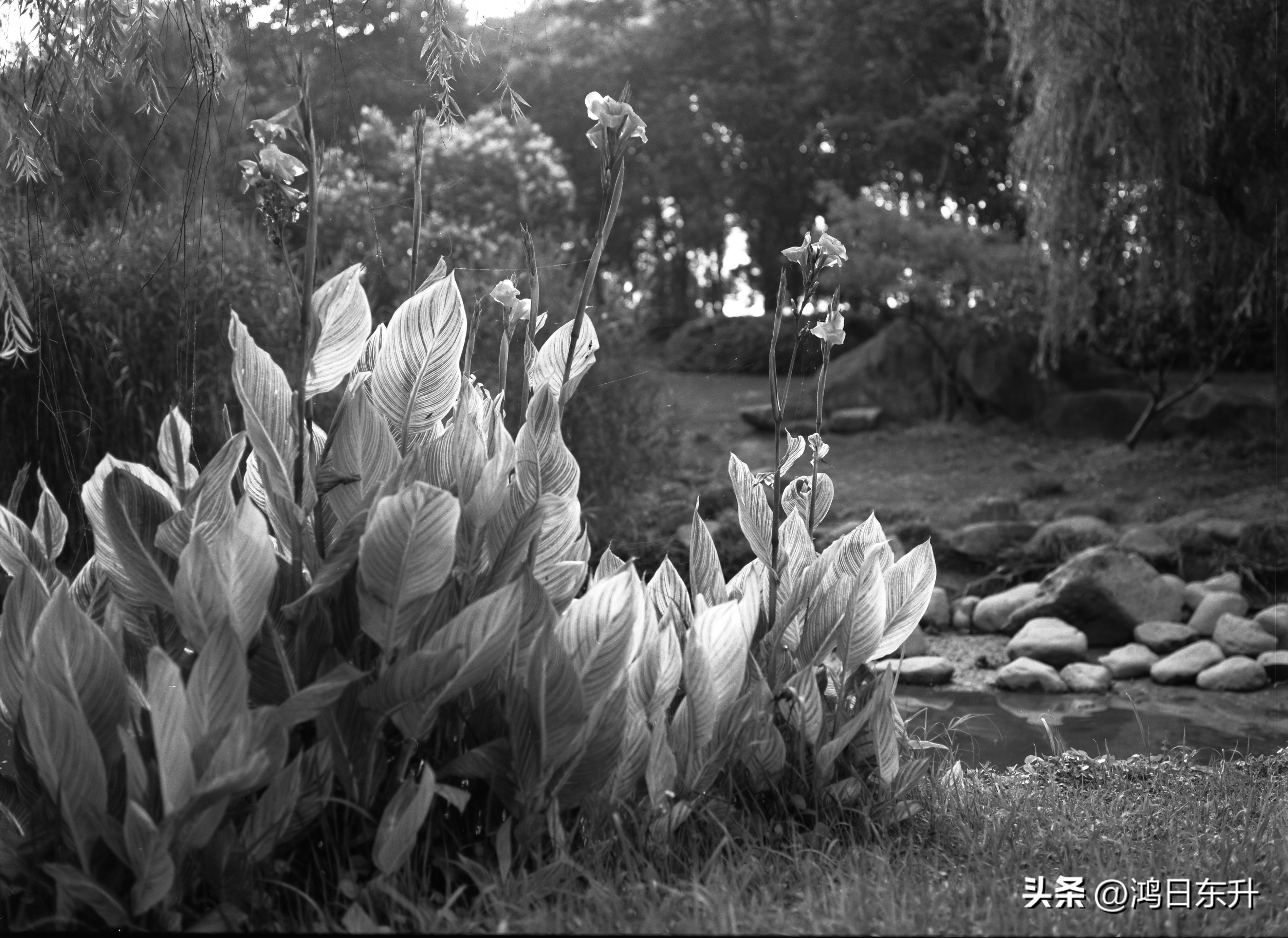 宾得645Nii老胶片相机值得拥有