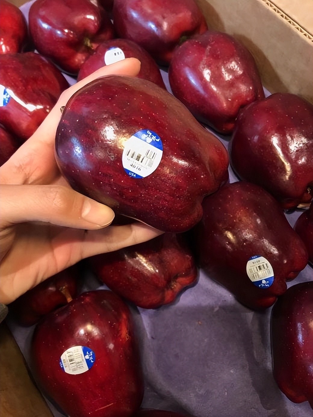 美国蛇果和花牛果价格,花牛苹果跟蛇果一样吗