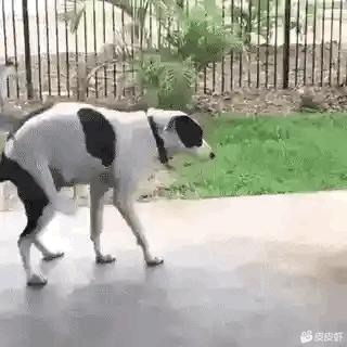 涔濅釜鍔ㄤ綔濮垮娍鎽嗘媿,涔濅釜鎵嬪娍鍔ㄤ綔