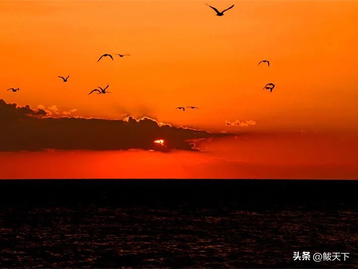 营口鲅鱼圈国际马拉松赛,鲅鱼圈马博会是哪天