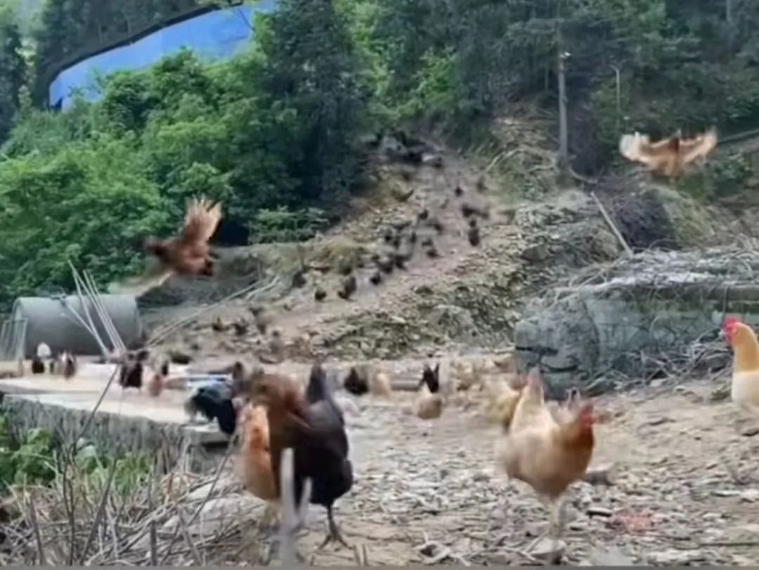 开盘早知道新闻一览,时政新闻2024年1月热点