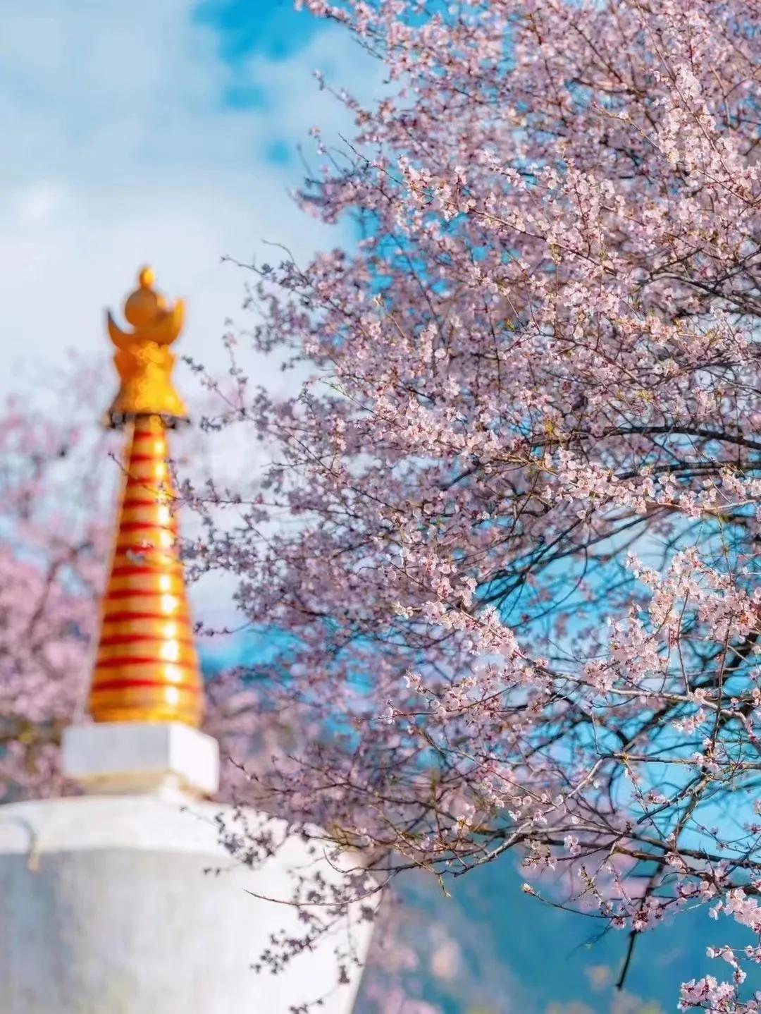 西藏旅游攻略,藏西旅游攻略大全