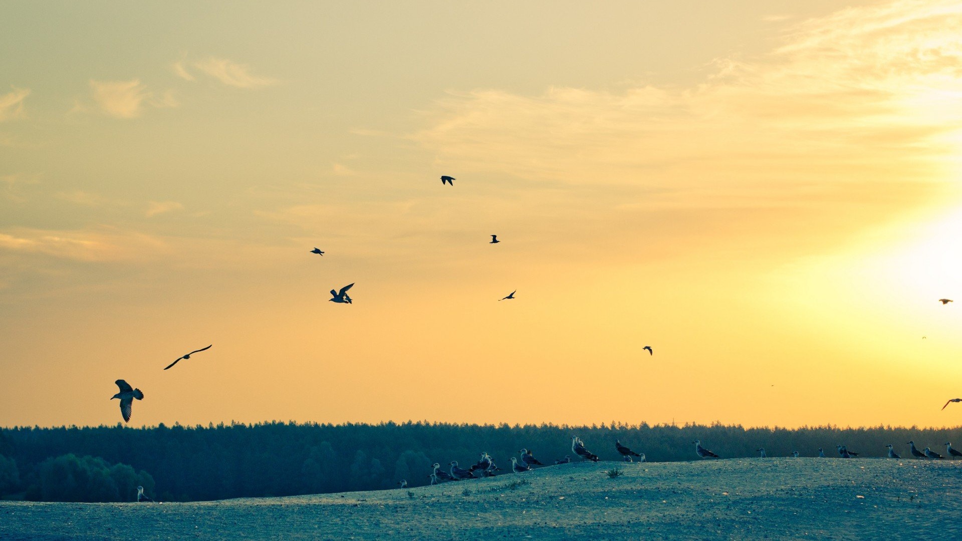 退休后生命最好的4种状态,人退休后最好的三个状态