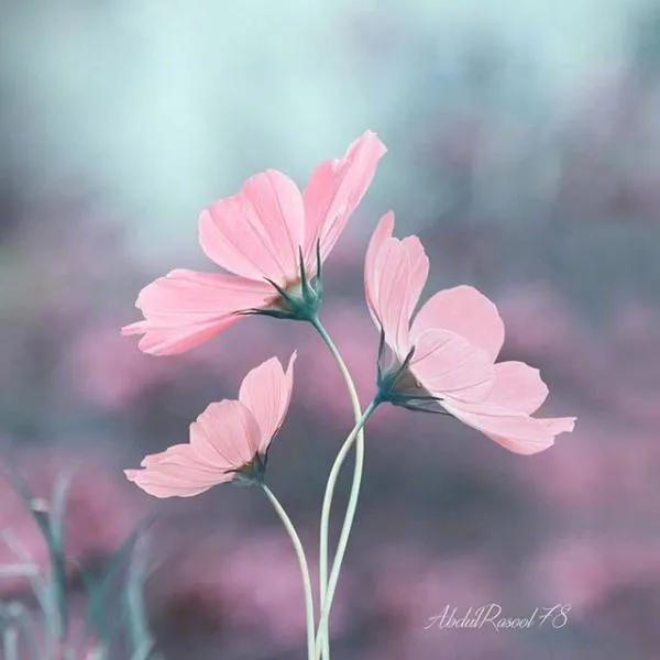 用尊重做牙签：给对方情绪的气球留个针眼