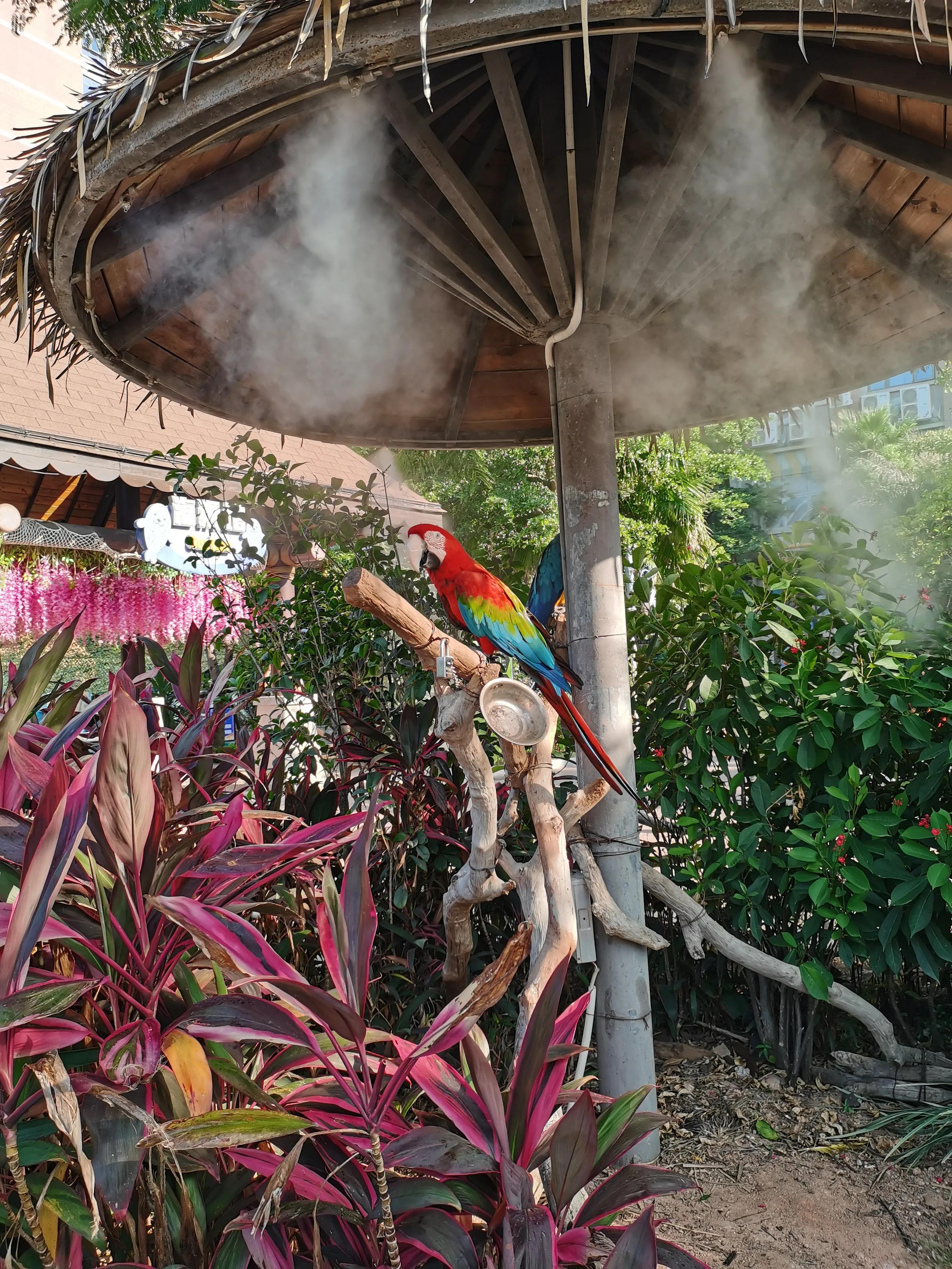 灵玲马戏团游玩感想,厦门灵玲马戏团有休息的地方吗