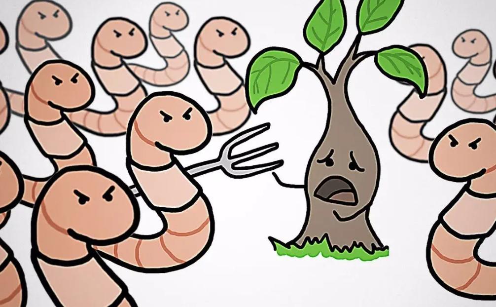 电蚯蚓为什么犯法,电蚯蚓月入过万