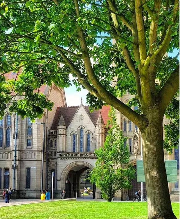 曼大录取中国学生大学名单,怎么申请曼大的本科