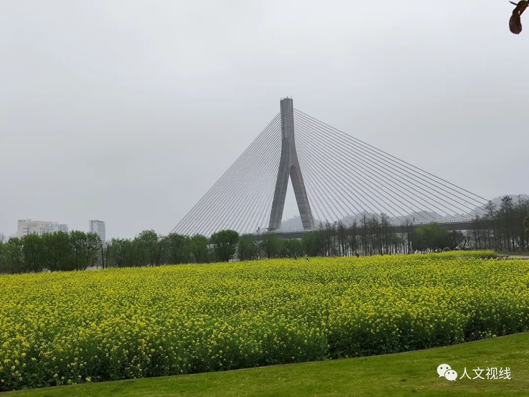 清明回乡,清明祭祖回乡记