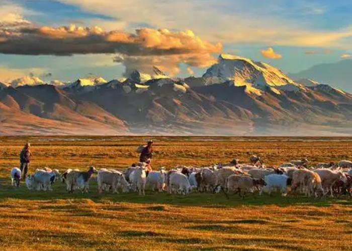 去西藏必吃的五种美食,去西藏必买的东西