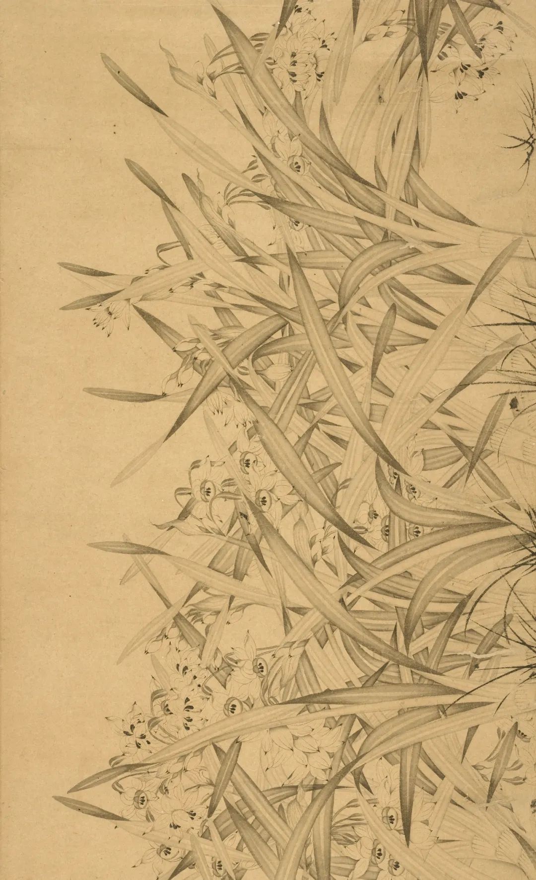 慕容看世界的视频,慕容看世界所有视频