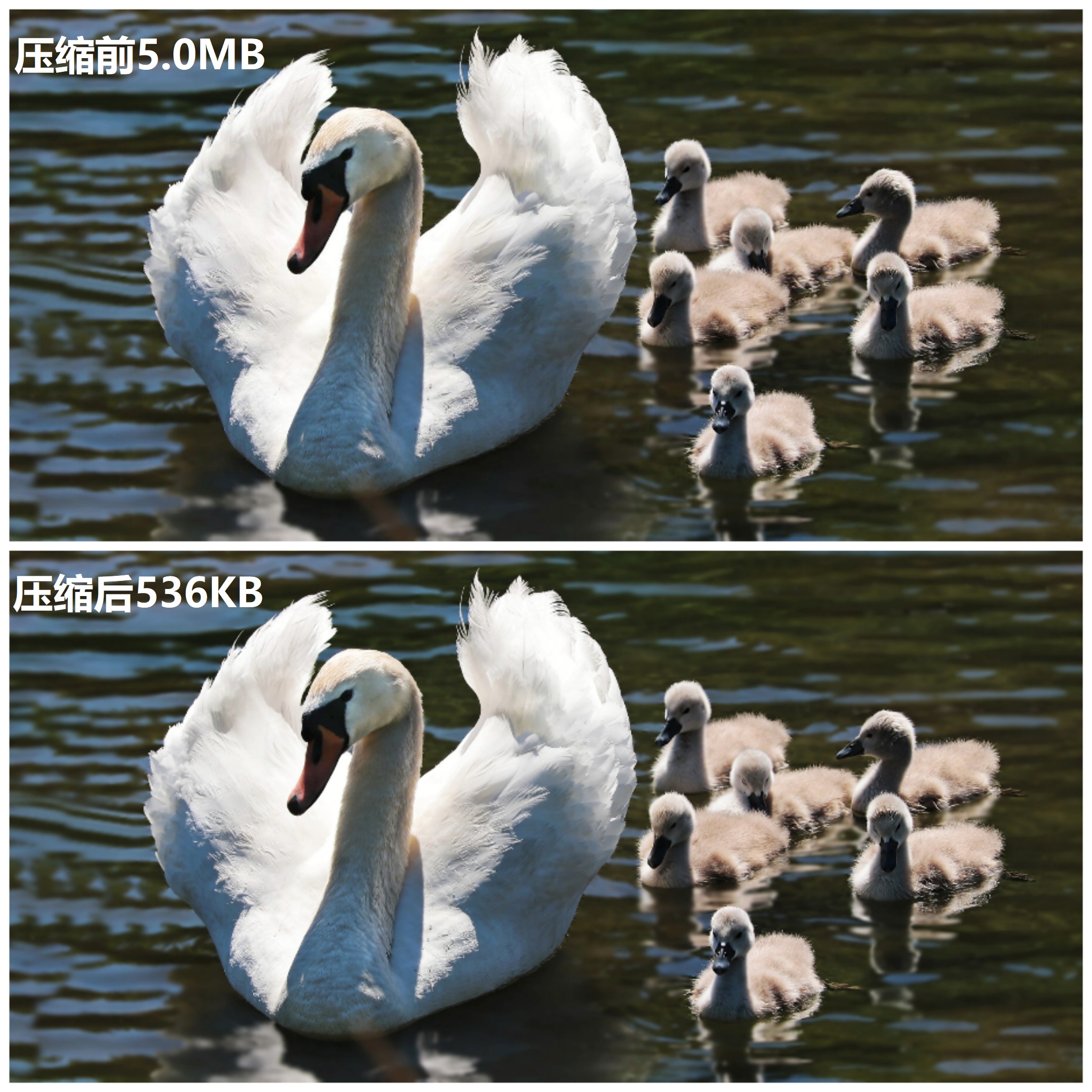 手机怎么压缩图片200k以下,如何压缩word文档里的图片