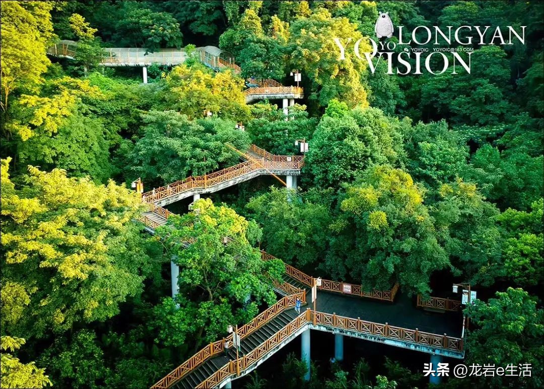 夏天龙岩哪里凉快适合避暑,龙岩新罗区有哪些避暑的好地方