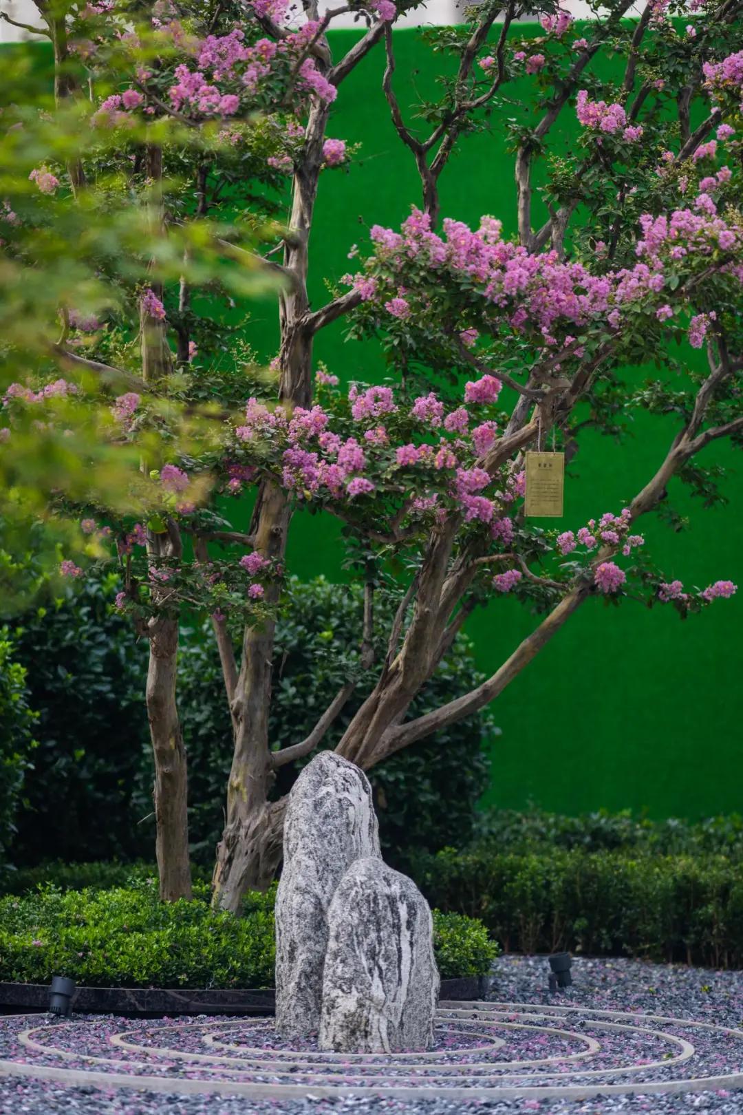 通过园林景观看一个小区是否高端,园林景观最好小区