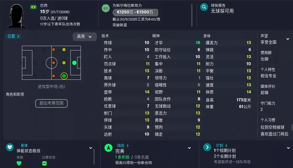 巴西球员恩德里克身高,巴西恩德里克集锦