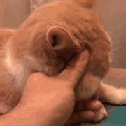 护肤品使用没效果就是这5个原因,为什么有的护肤品别人用没有效果