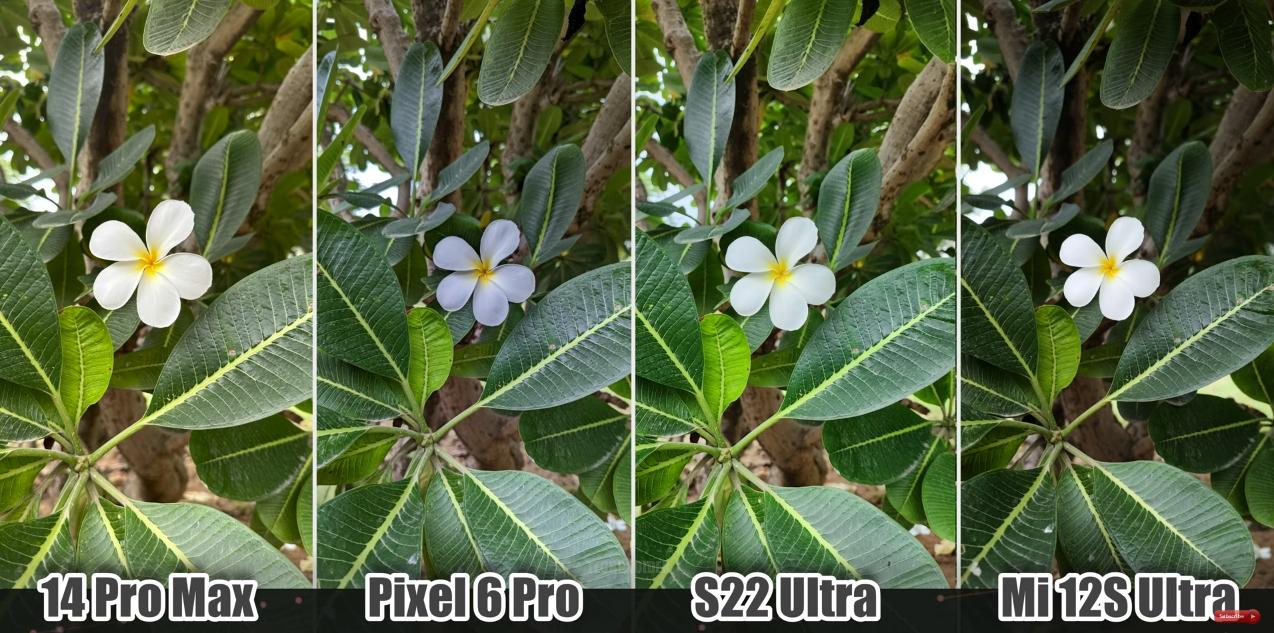 苹果谷歌拍照,苹果谷歌三星