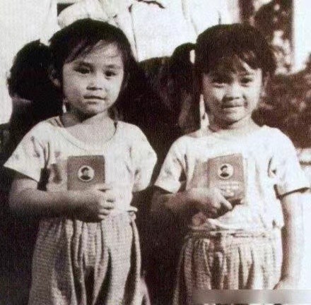 那英高峰有孩子吗,那英和高峰有孩子了吗