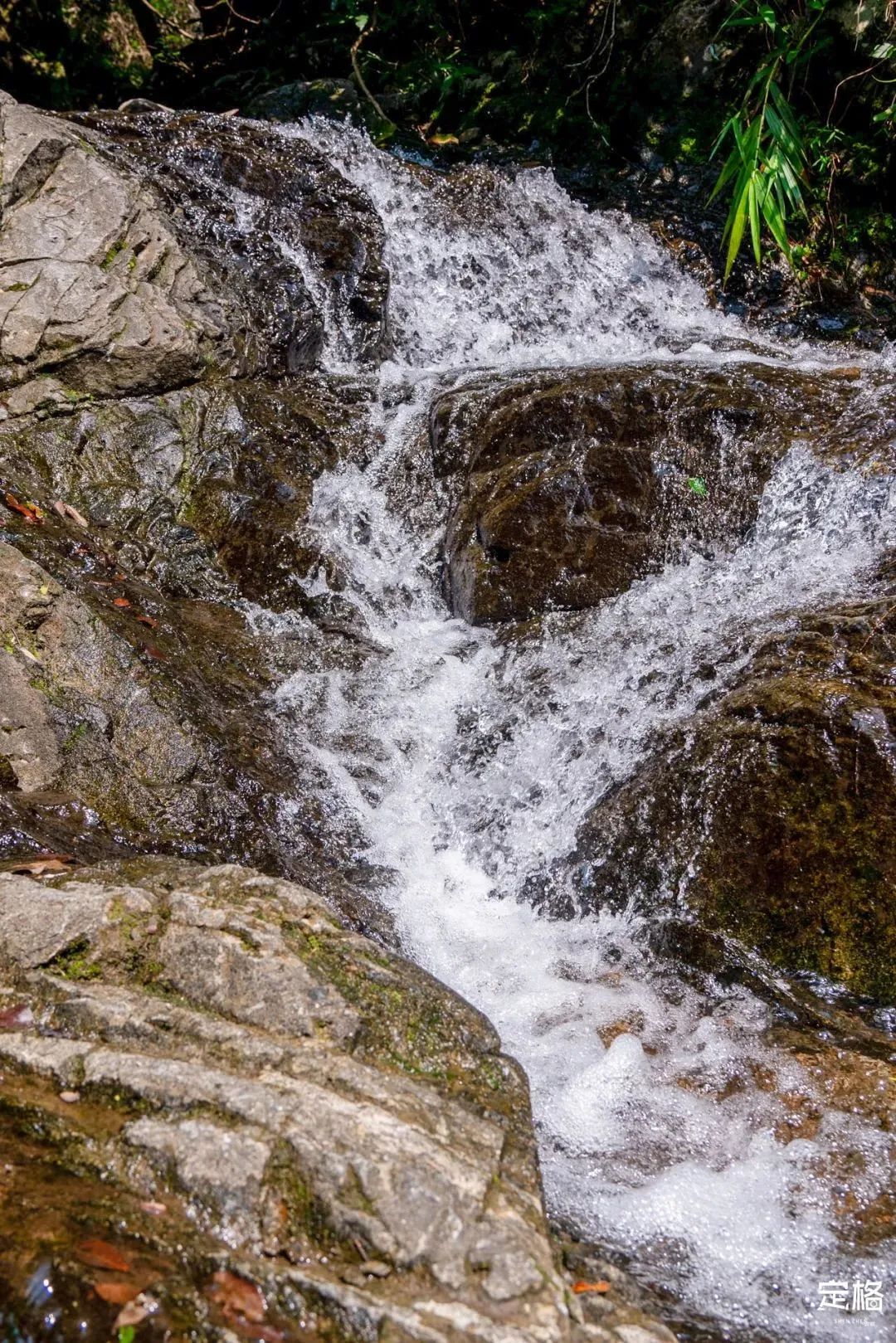 深圳小众打卡景点龙岗,2022深圳10个小众打卡地免费游玩