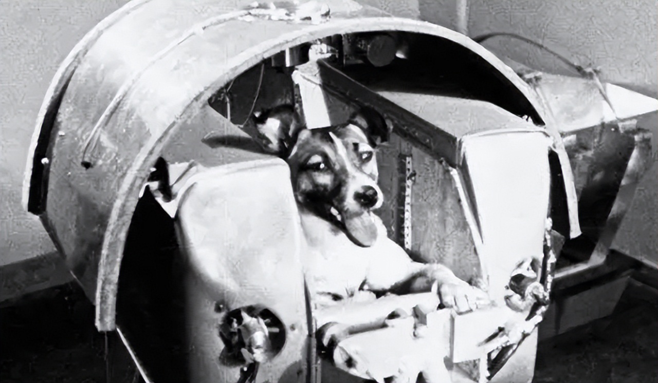 阿波罗登月是否得到苏联的帮助,美国阿波罗登月计划是假的吗