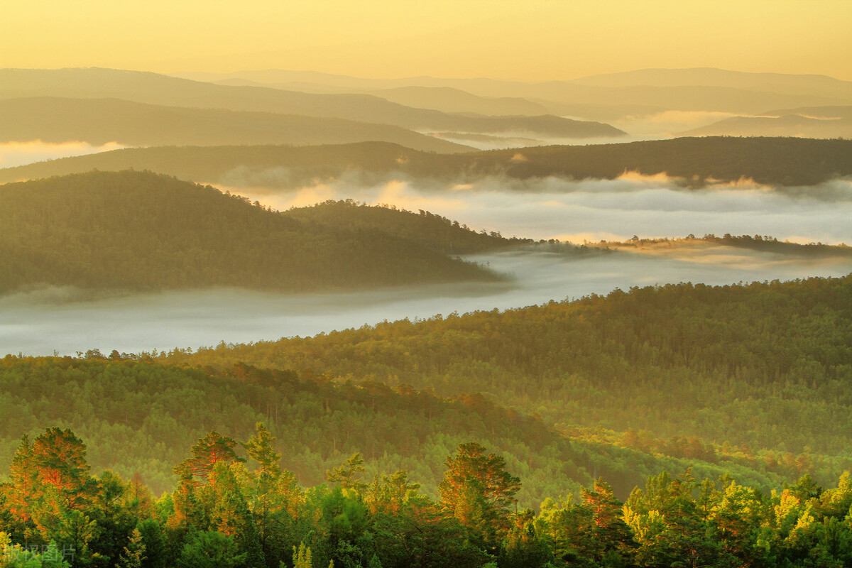 同是近十万阅读量，为什么两篇文章收益差距那么大？带你提高收益