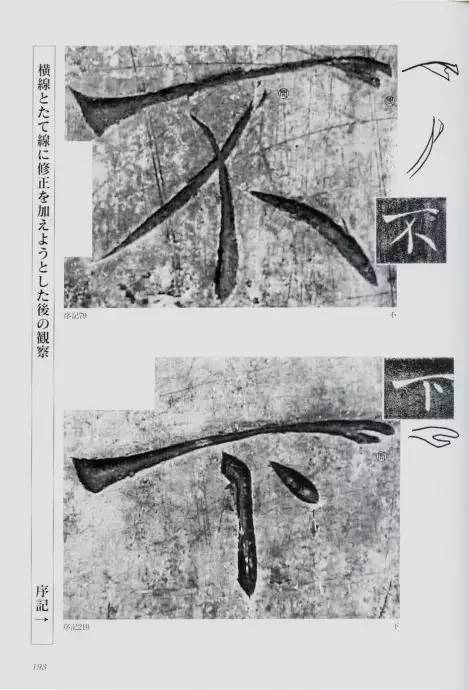 宸ョ瑪鐢绘潹鏅箟鐢诲唽,鏉滈箖鏉ㄦ櫘涔夊畬鏁寸増