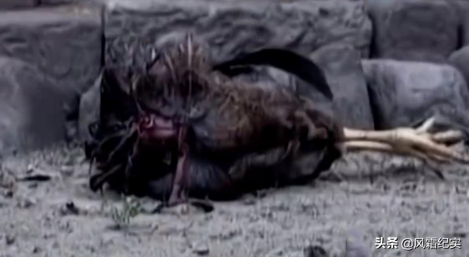 湖南男子失踪事件,湖南小伙走失十年后见到亲人