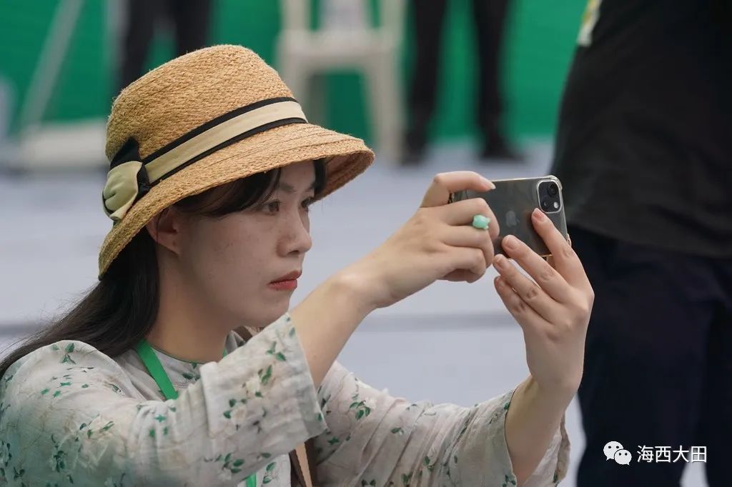 上海浦东大田美人茶迎来开茶季,海峡两岸美人茶大会福建大田举行