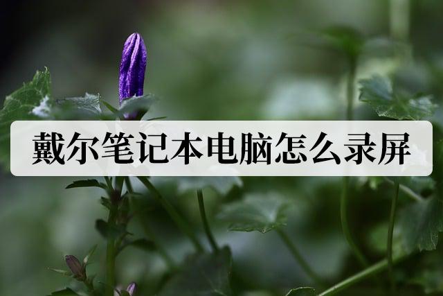 戴尔笔记本电脑怎么录屏,戴尔电脑录屏怎么录制视频