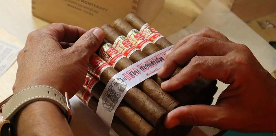 782万一根的雪茄,最贵一根烟雪茄