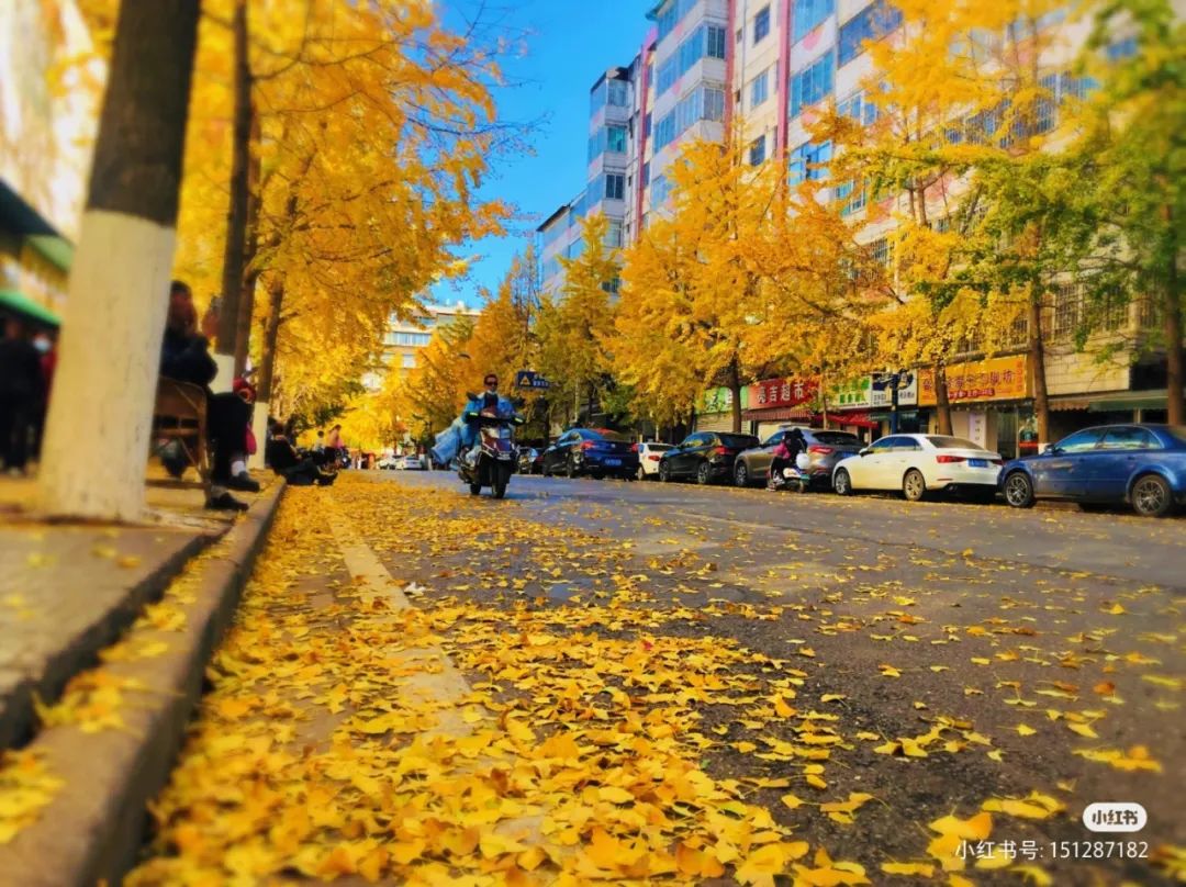 破案了！火爆全网的昆明版天空之境原来在这里