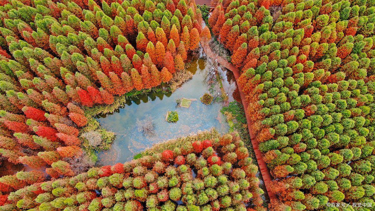 昆明本地人必去十大景点,昆明值得看的景点