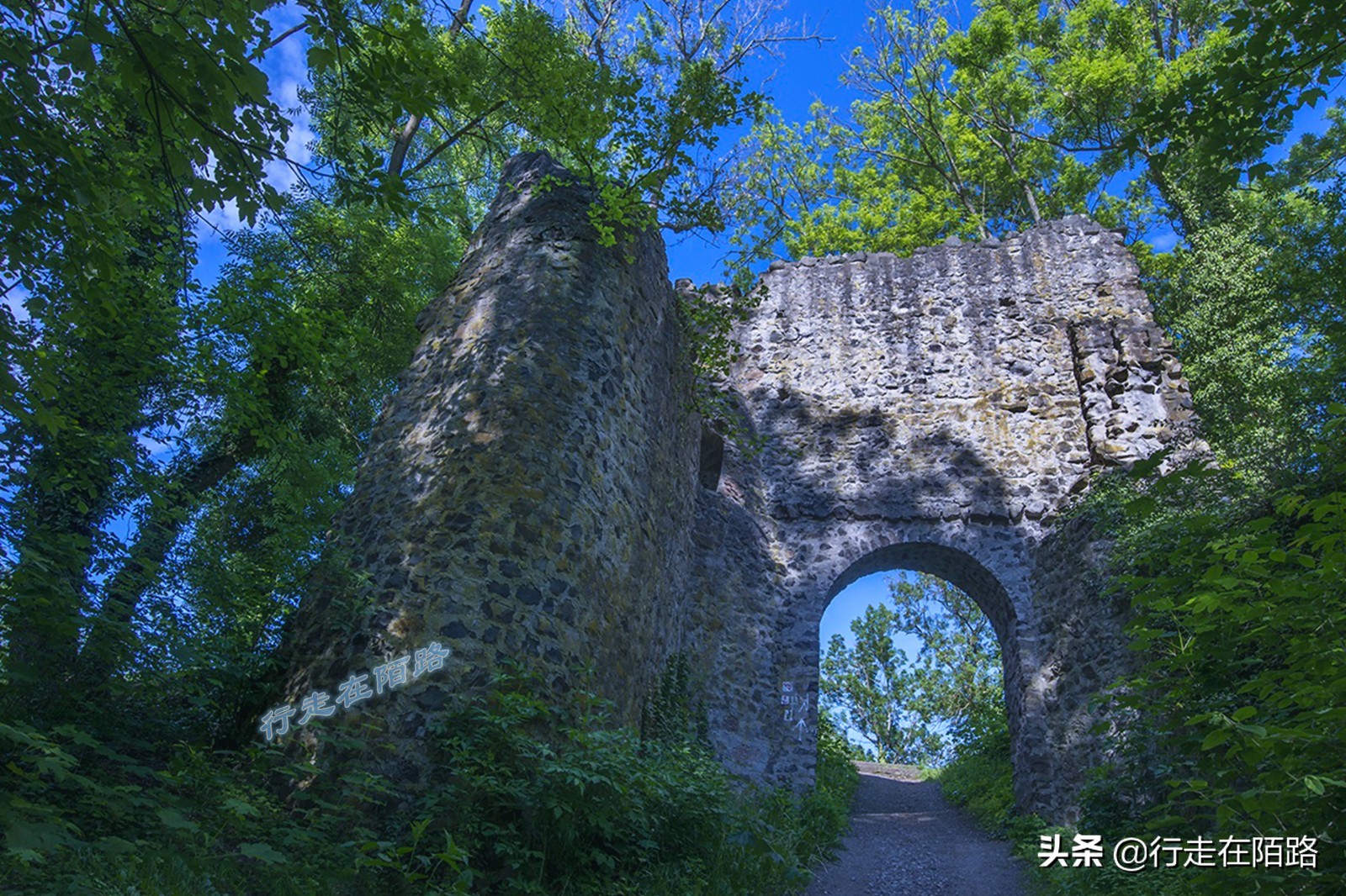 素食小镇图宾根：一次性餐具单独缴税，外卖打包自带水杯碗盘