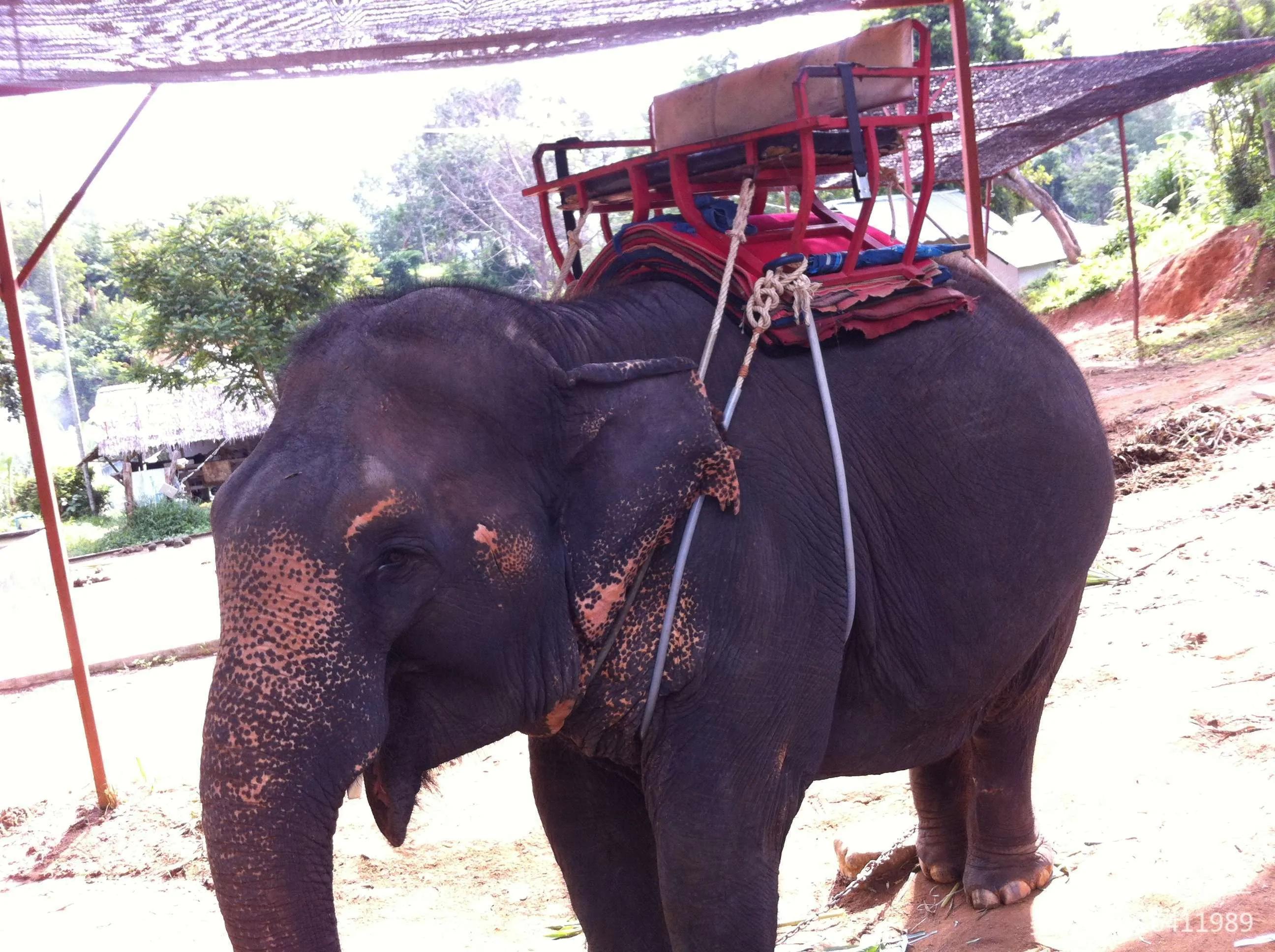 泰国普吉岛旅游攻略贴吧,泰国跟团普吉岛曼谷