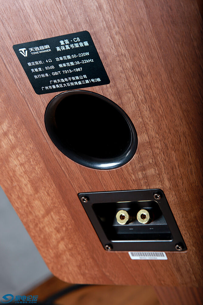 天逸童笛c8音箱评测,天逸童笛c8配什么功放