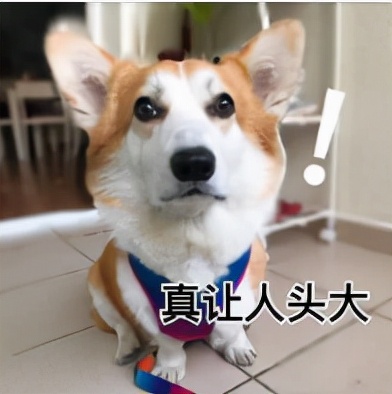 美国大学SPS继续教育学院，学历得不到国内认可？值得去读吗？