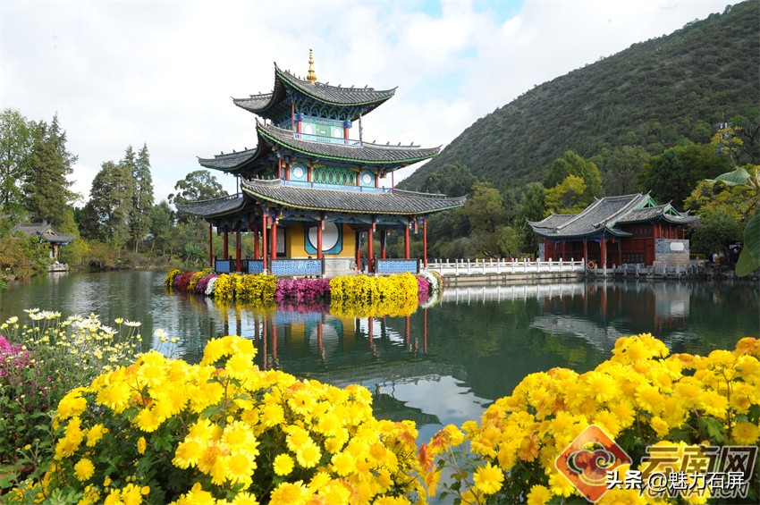 丽江黑龙潭玉龙雪山倒影美图,丽江早晨黑龙潭风景区