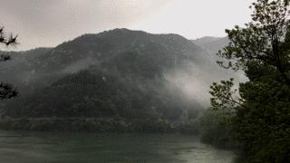 端午包竹筒粽子,2021端午节自制清香美味的竹筒粽