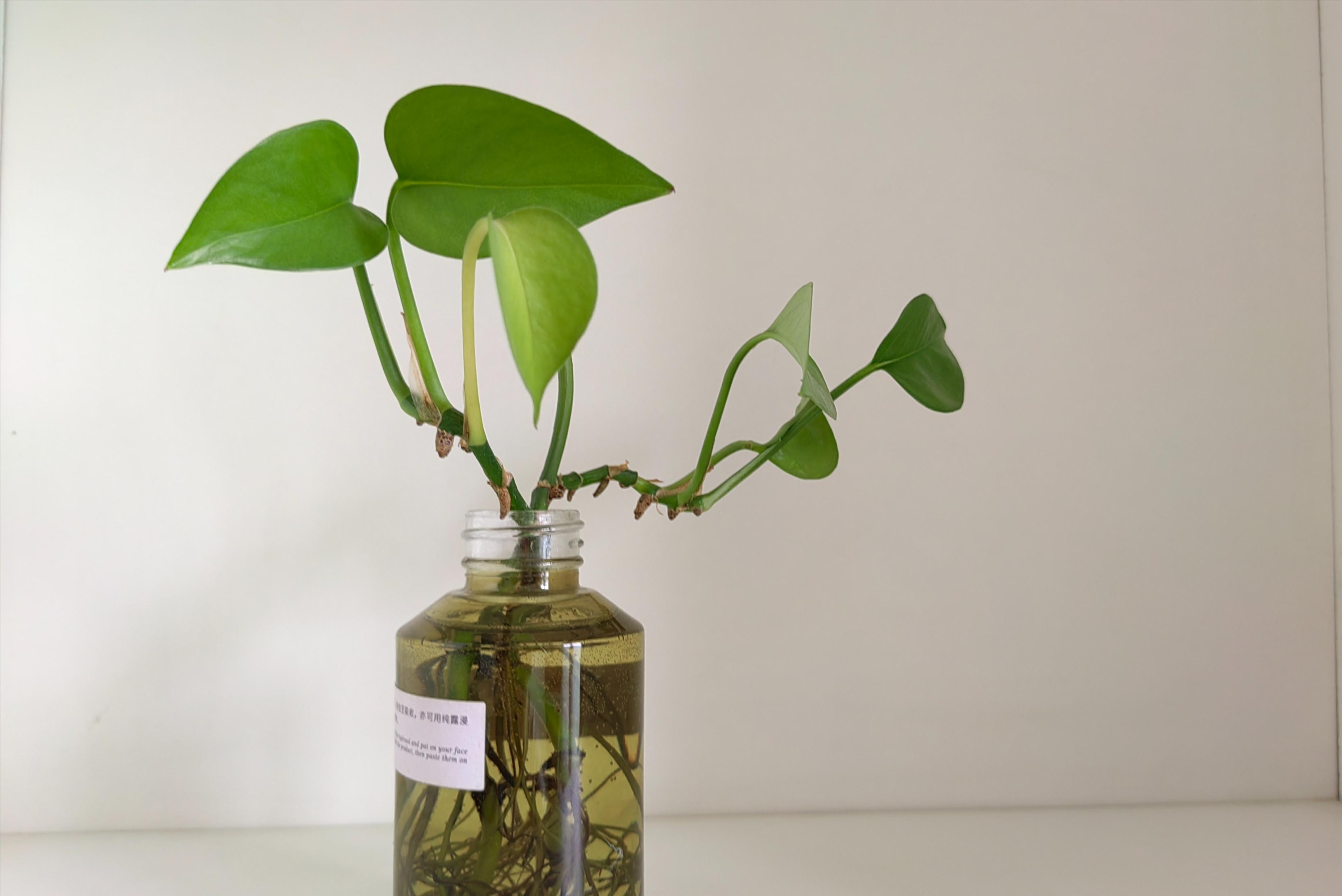 精简生活100例,精简生活必备10件物品