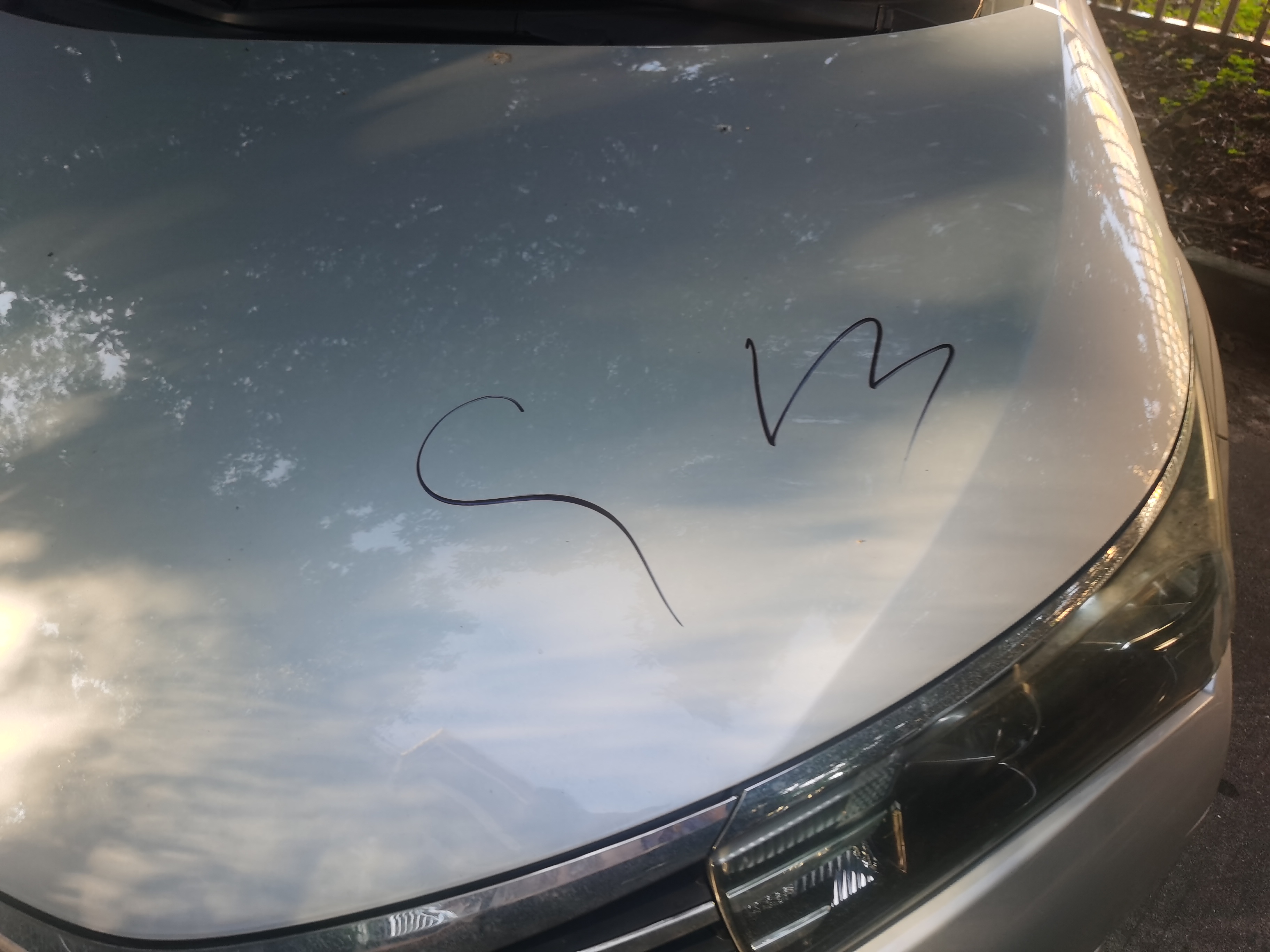 中山市坦洲镇中澳新城在*今条头日**上火了，快围观！