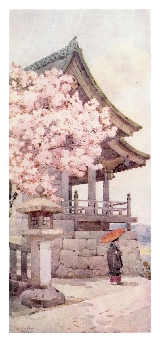 鑻卞浗鐢诲michael楂樻竻鍥剧墖浣滃搧,鑻卞浗姘村僵鐢诲elladucane缁樼敾浣滃搧