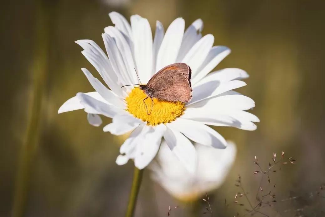 被丈夫指责“没用、孩子都带不好”，她巧妙回击，五天后丈夫道歉