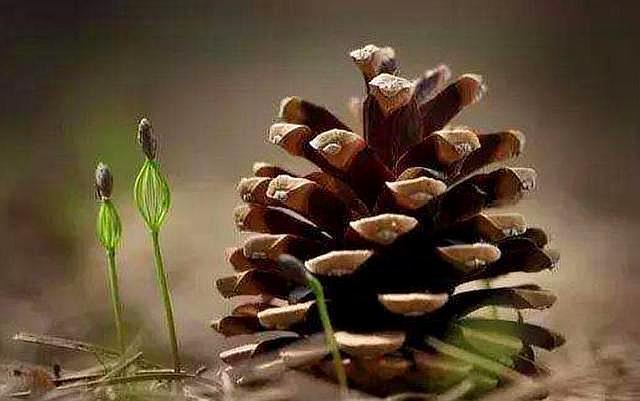 人落魄时遇见帮你的人一定要珍惜,当你落魄的时候请记住这四句话