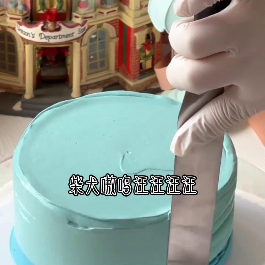 超可爱的狗狗和猫咪,猫咪和狗可爱