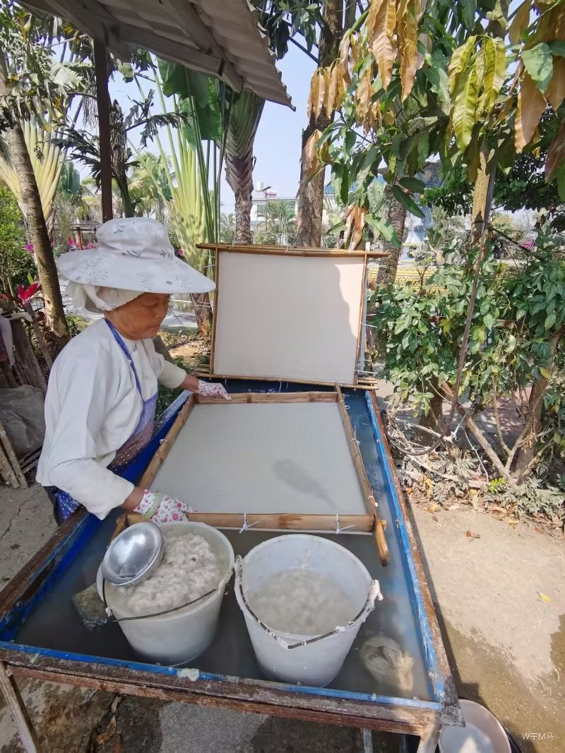 退休随记：滇西南行——非主流之景