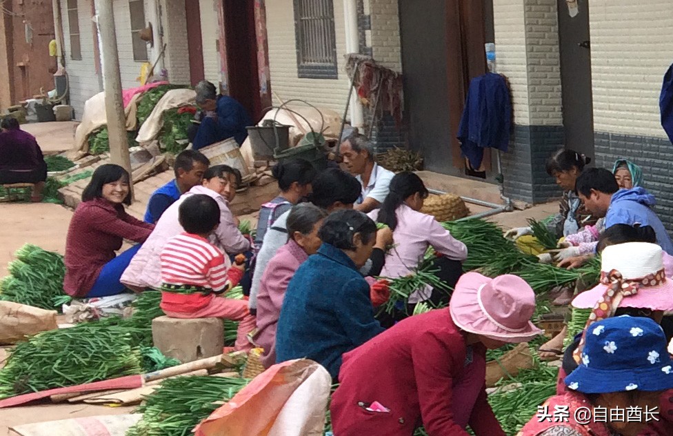 远去的驮铃声（十）抚仙湖畔的约定