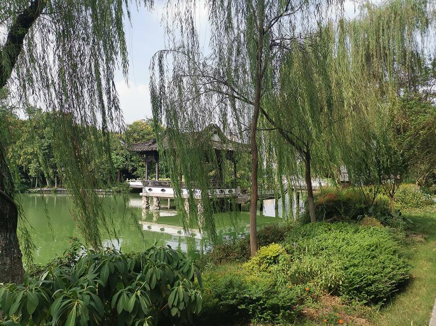 刘柏荣|豪*欲情**把春留住：花困东君酒点唇（原创诗词十首）