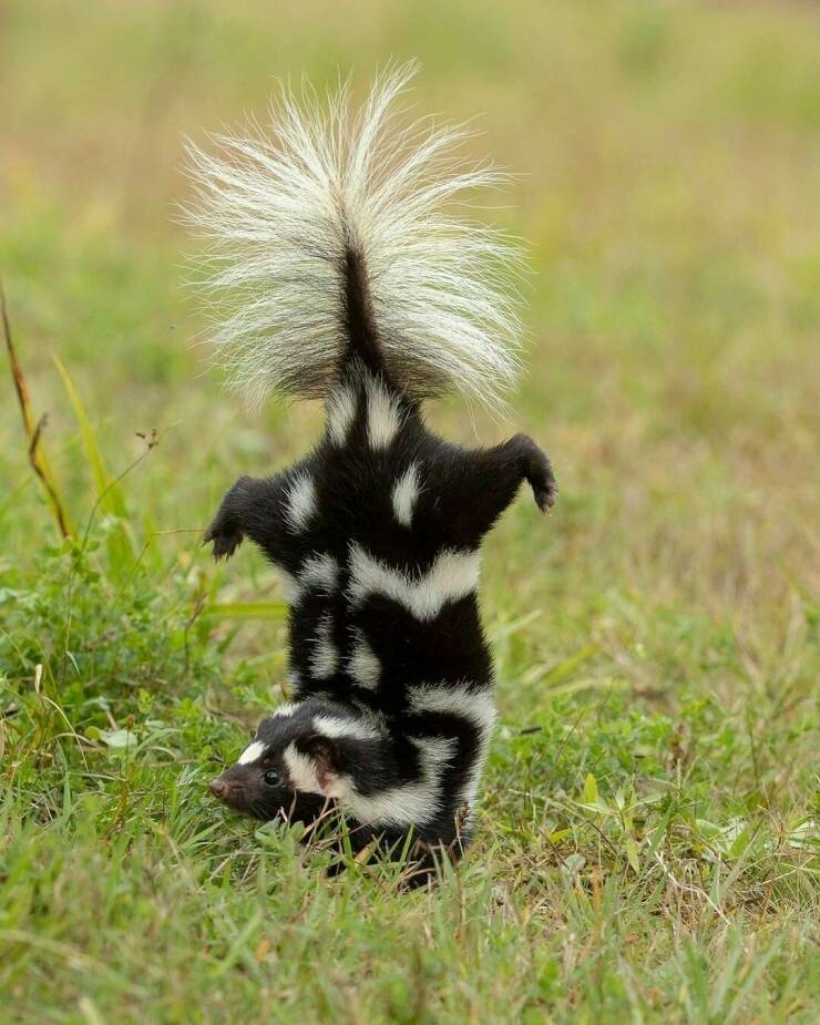 78个真实有趣的照片：山顶的足球场，老树与佛像，老司机脸部皮肤