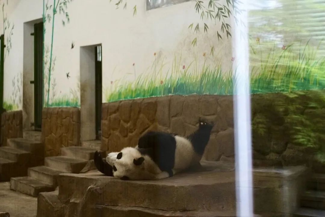 浙江市区度假酒店推荐,浙江轻奢酒店值得推荐