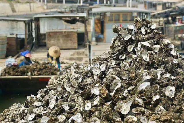 中国最美冷门旅游海岸,中国最美小众海岸线