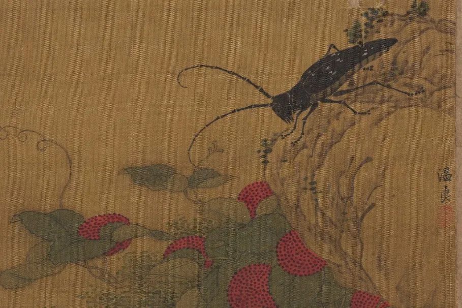 中国天牛图鉴,天牛全程图鉴